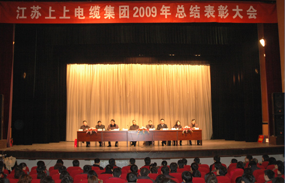 尊龙凯时人生就是搏盛大召开2009年度总结表扬大会
