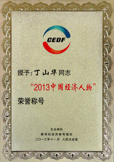 丁山华被授予“2013中国经济人物”声誉称呼