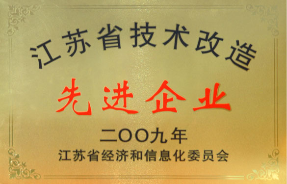 尊龙凯时人生就是搏获“2009年江苏省手艺刷新先进企业”称呼